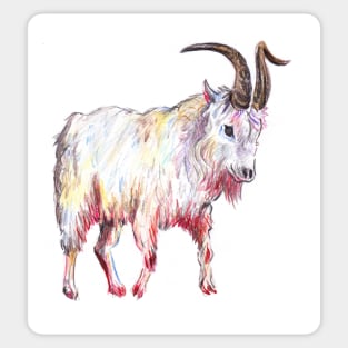 Mountain Goat drawing Sticker